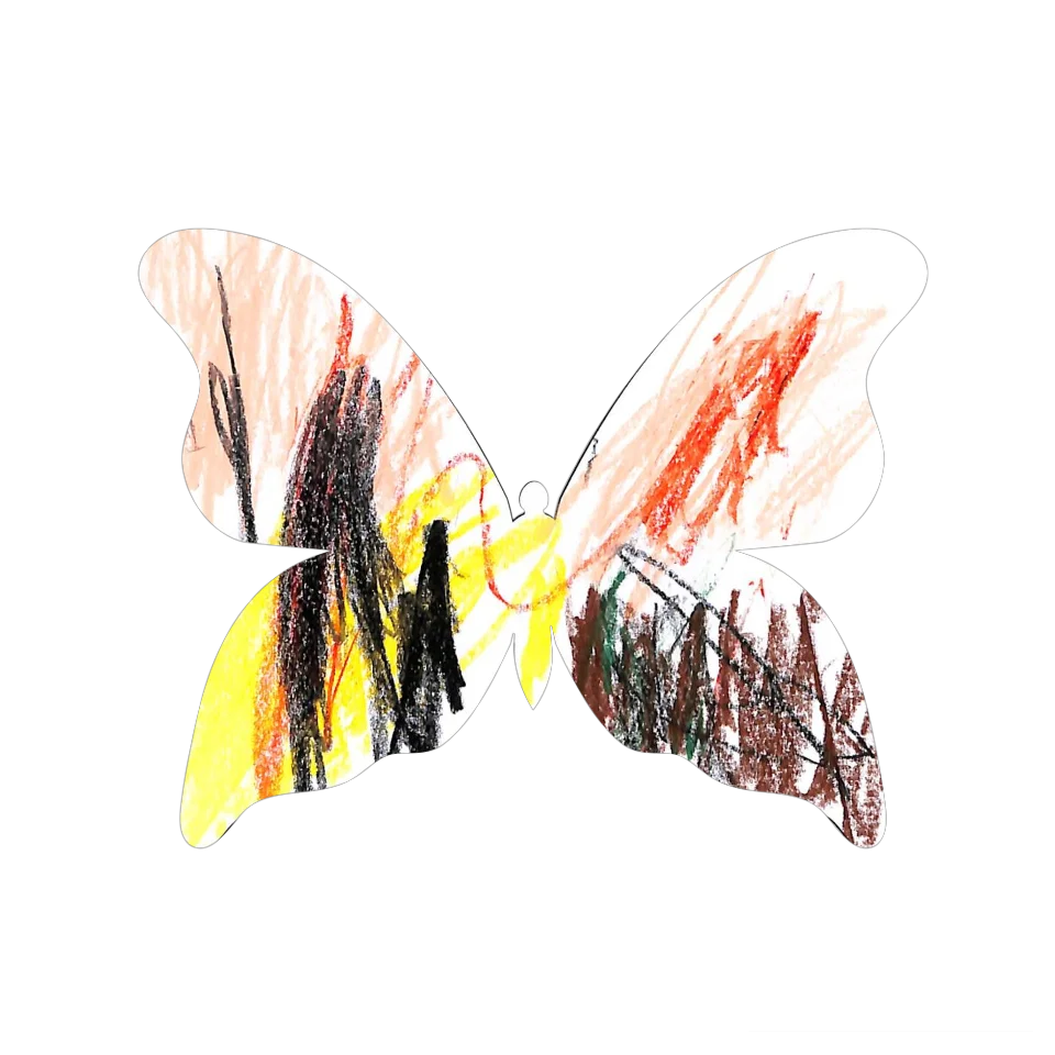 Original Butterfly Image