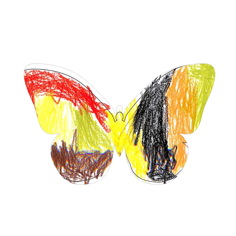 Original Butterfly Image