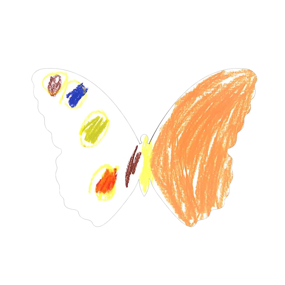 Original Butterfly Image