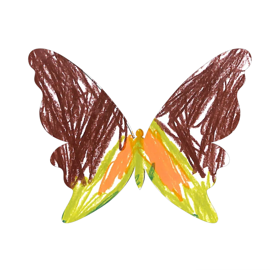Original Butterfly Image