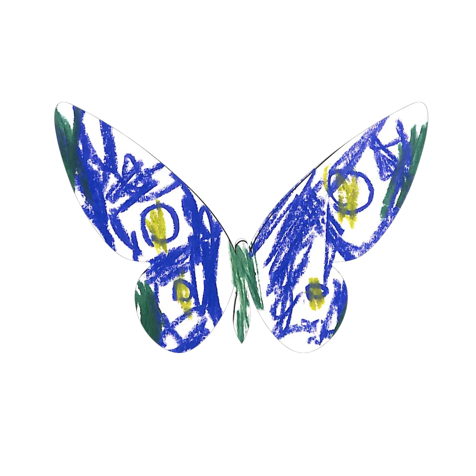 Original Butterfly Image