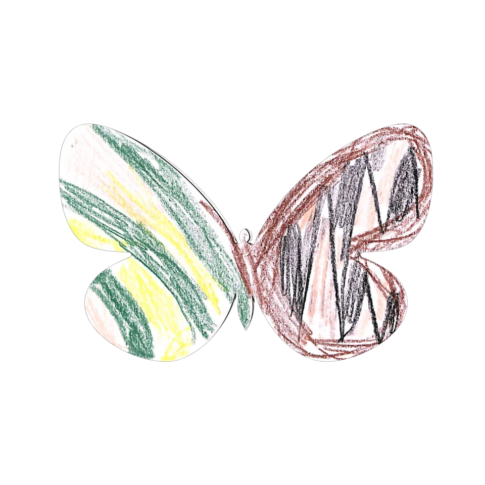 Original Butterfly Image