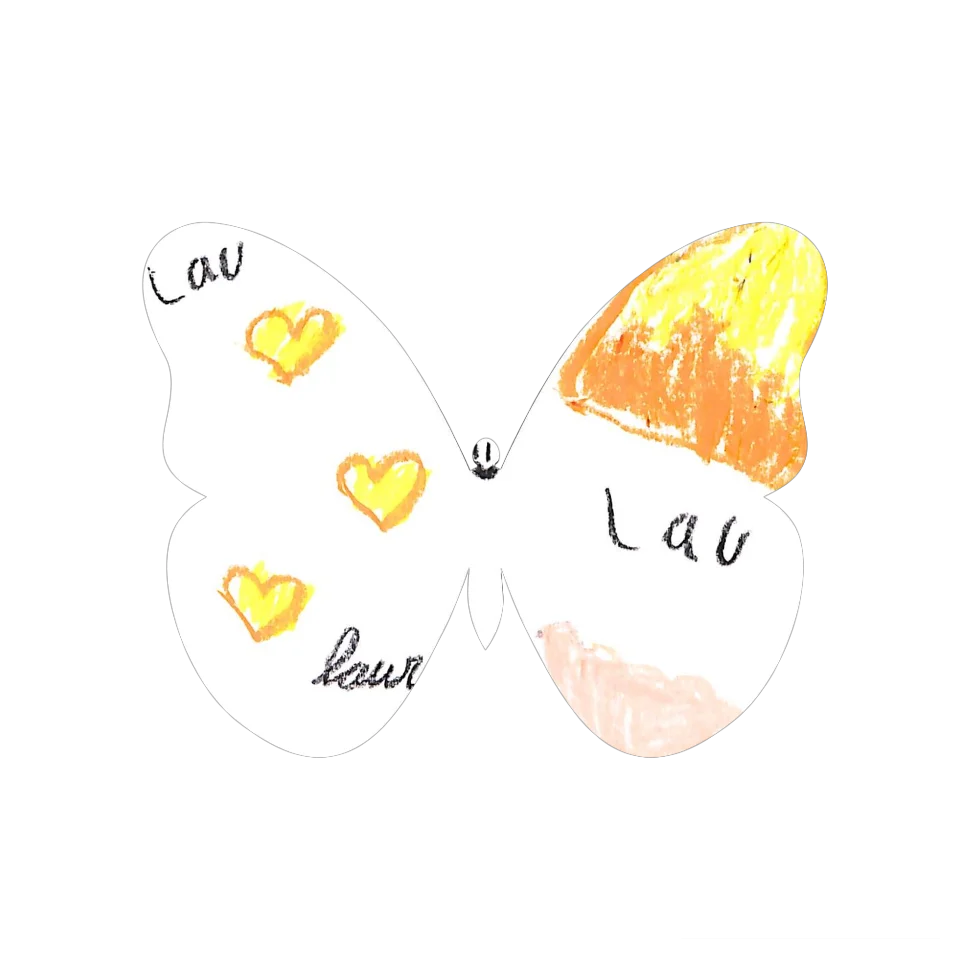 Original Butterfly Image