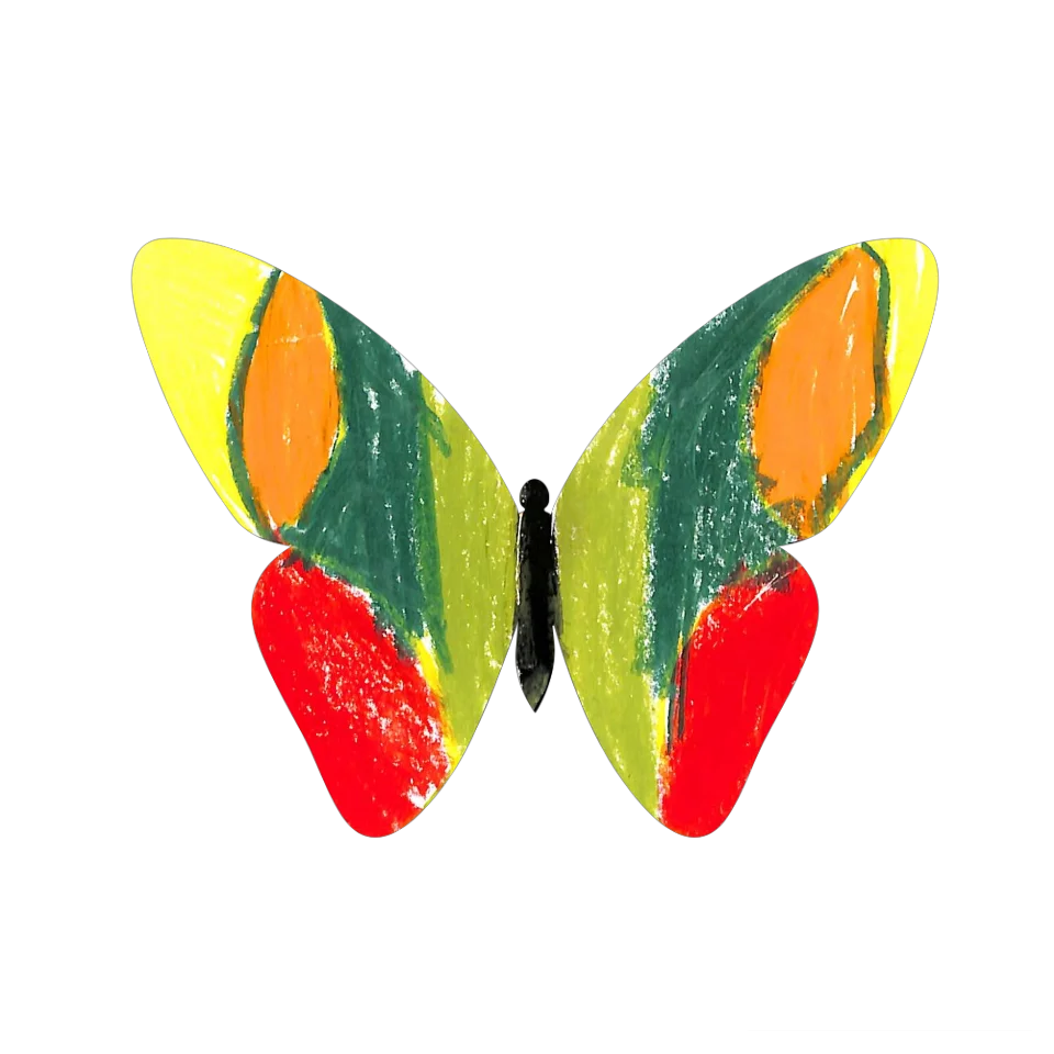 Original Butterfly Image