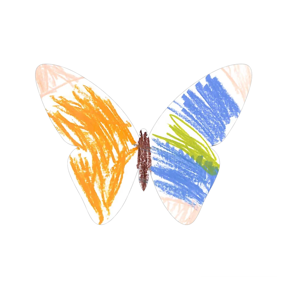 Original Butterfly Image