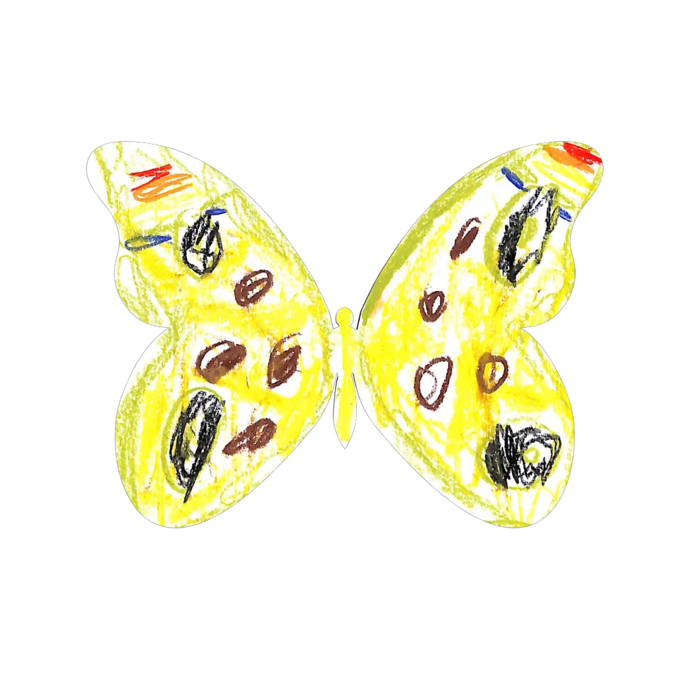 Original Butterfly Image