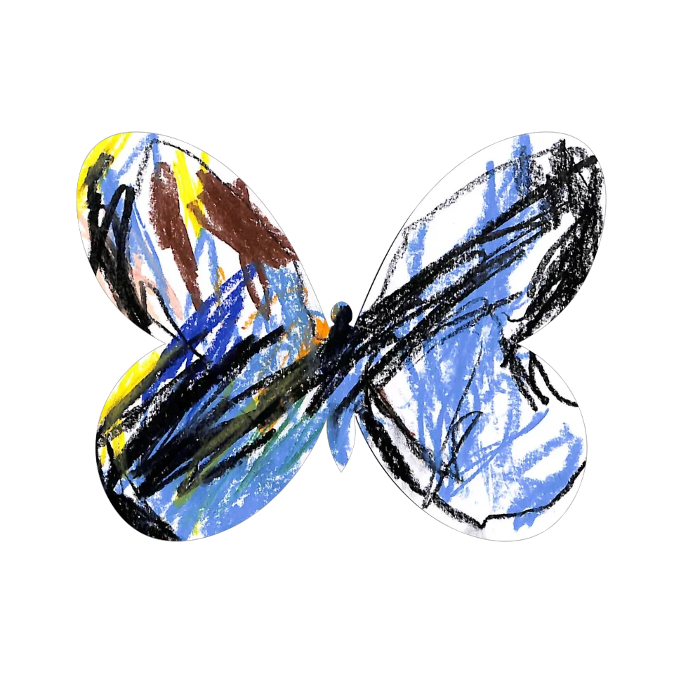 Original Butterfly Image