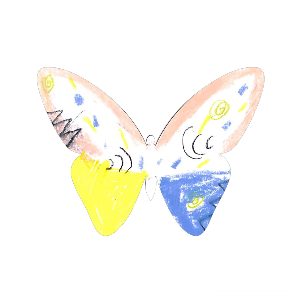 Original Butterfly Image
