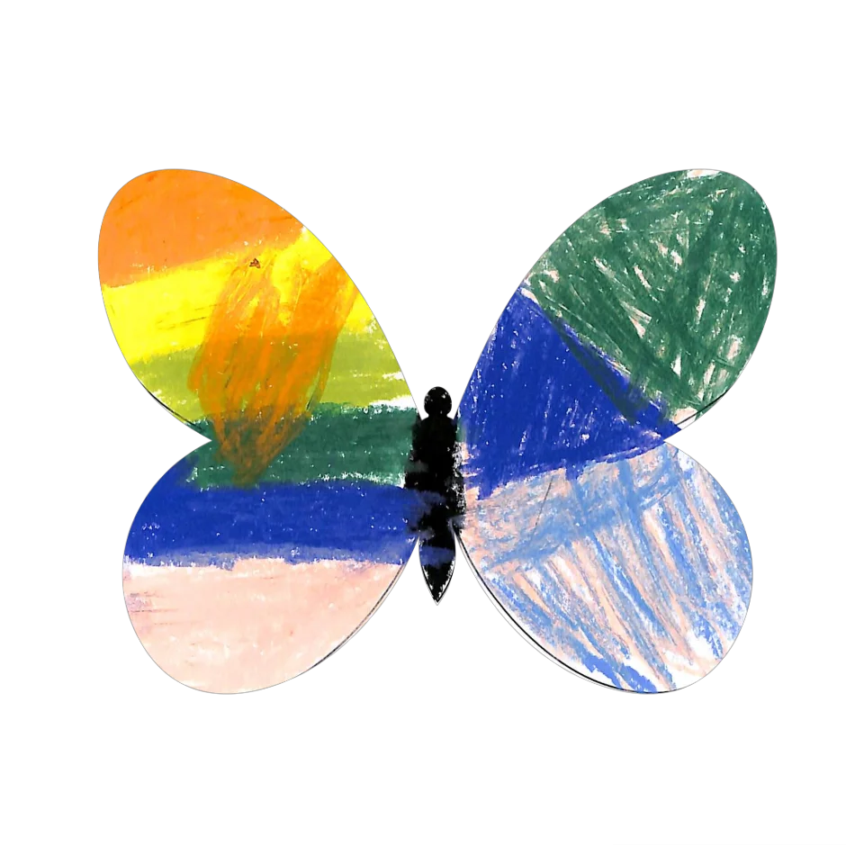 Original Butterfly Image