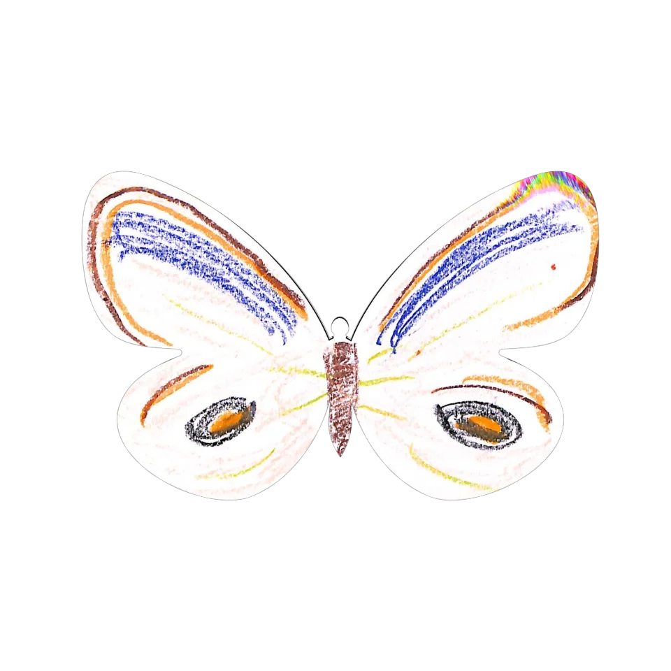 Original Butterfly Image