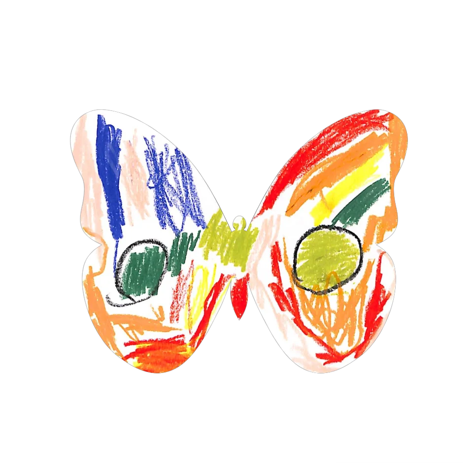 Original Butterfly Image