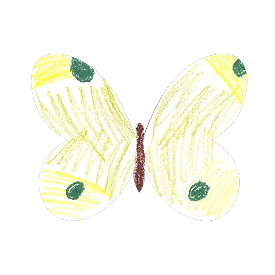 Original Butterfly Image