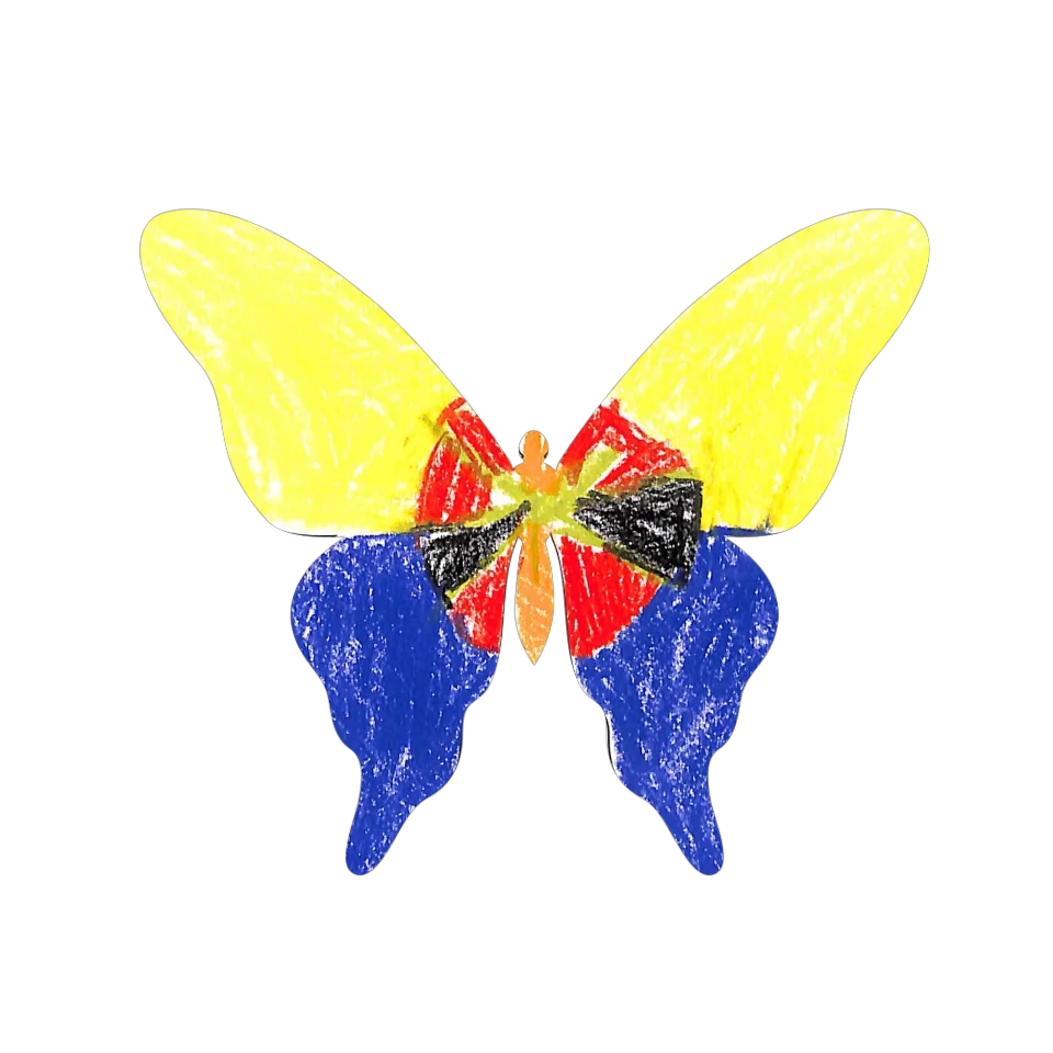 Original Butterfly Image