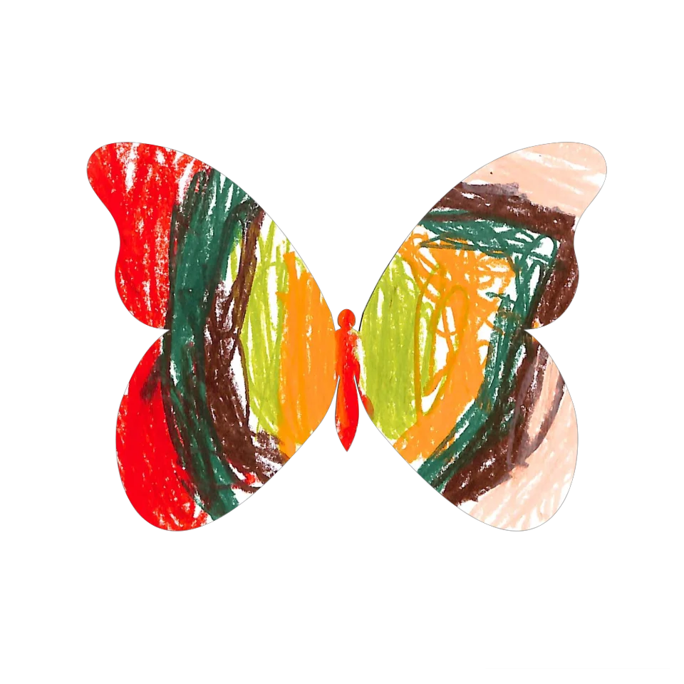 Original Butterfly Image