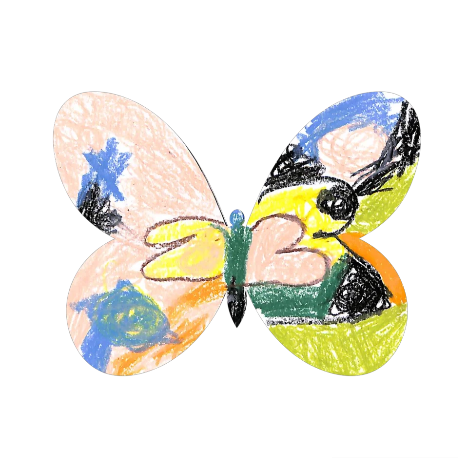 Original Butterfly Image