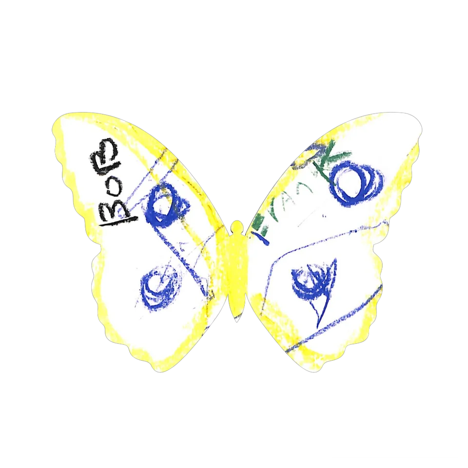 Original Butterfly Image