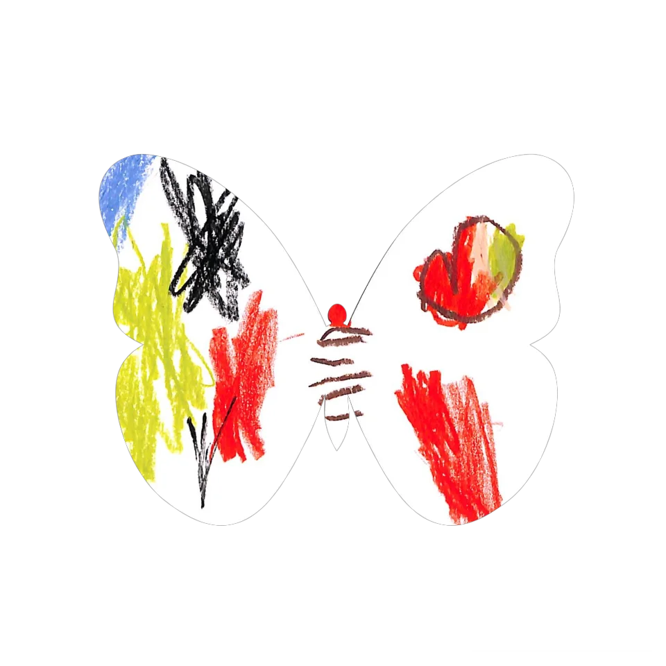 Original Butterfly Image