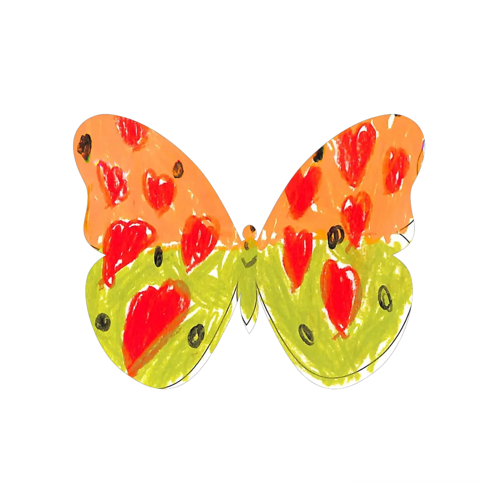 Original Butterfly Image