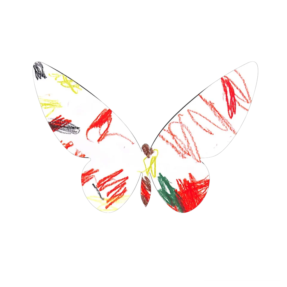Original Butterfly Image