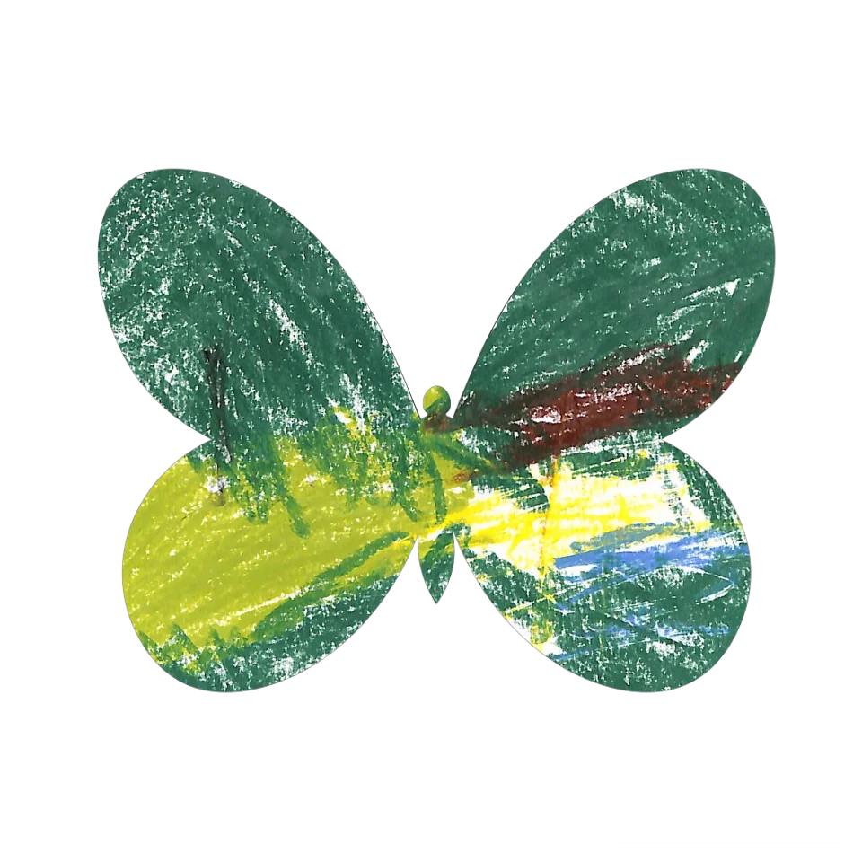 Original Butterfly Image