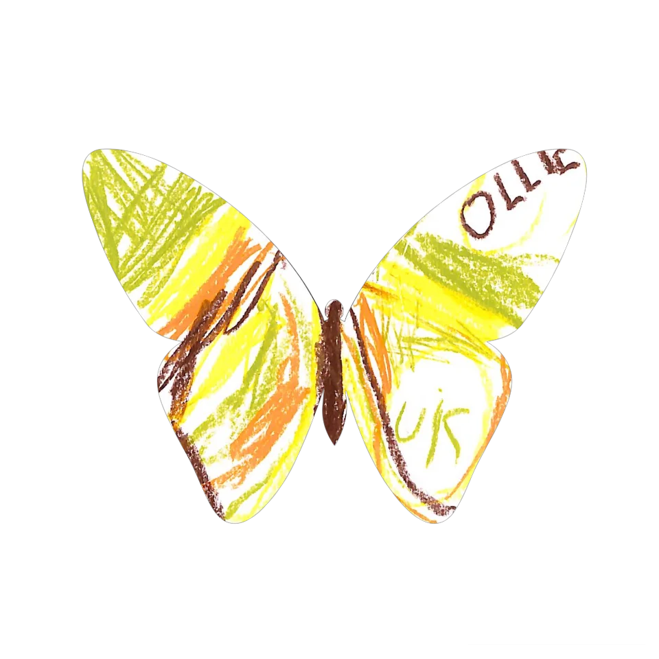 Original Butterfly Image