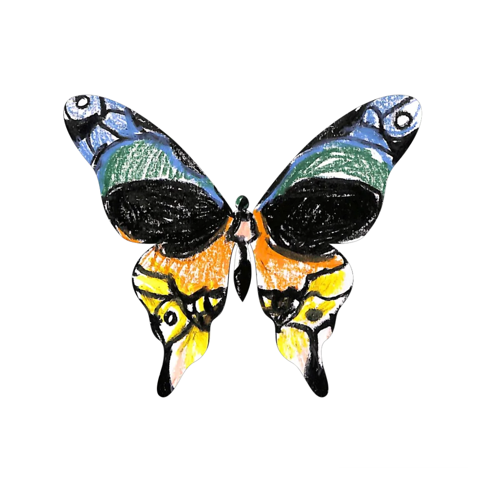 Original Butterfly Image