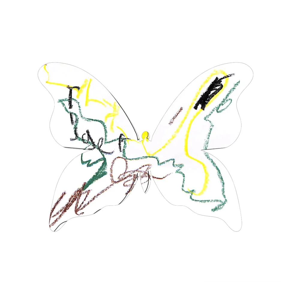 Original Butterfly Image