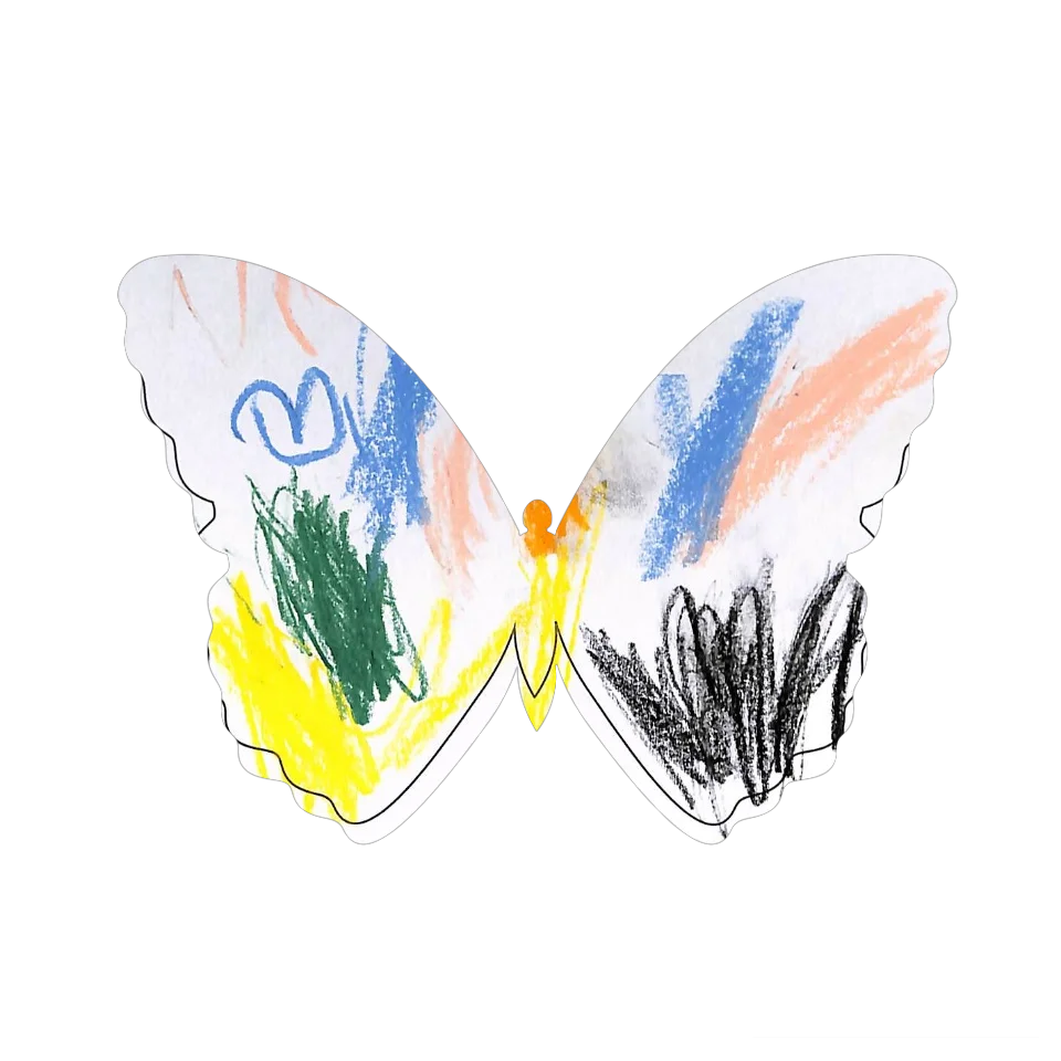 Original Butterfly Image