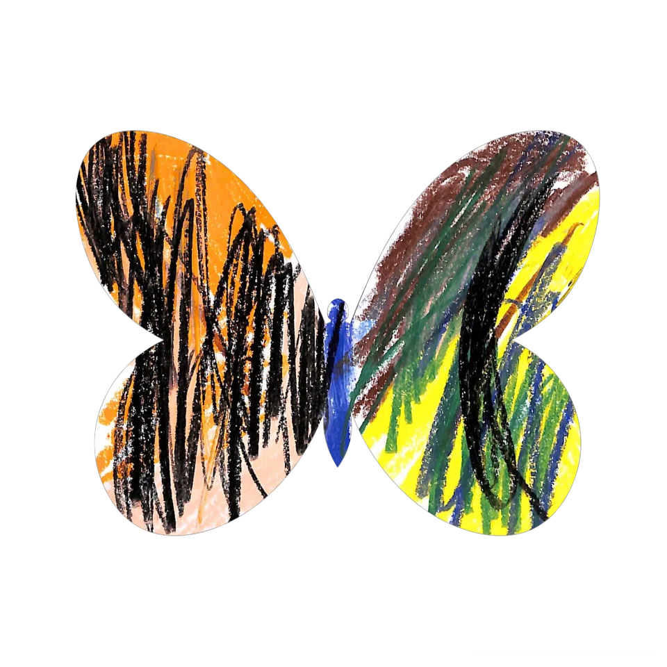 Original Butterfly Image