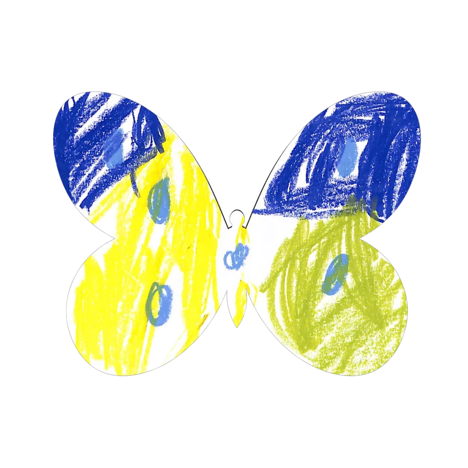 Original Butterfly Image