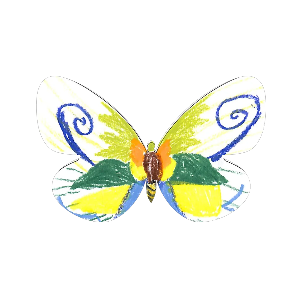 Original Butterfly Image