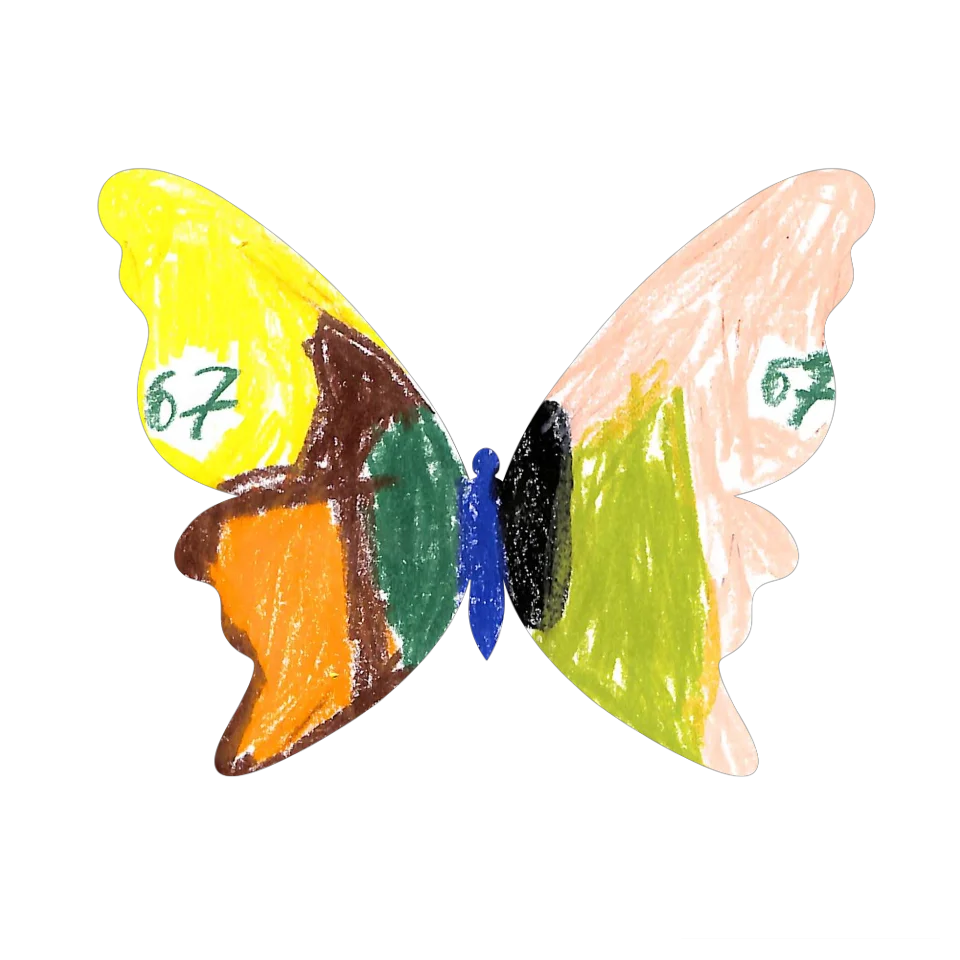 Original Butterfly Image