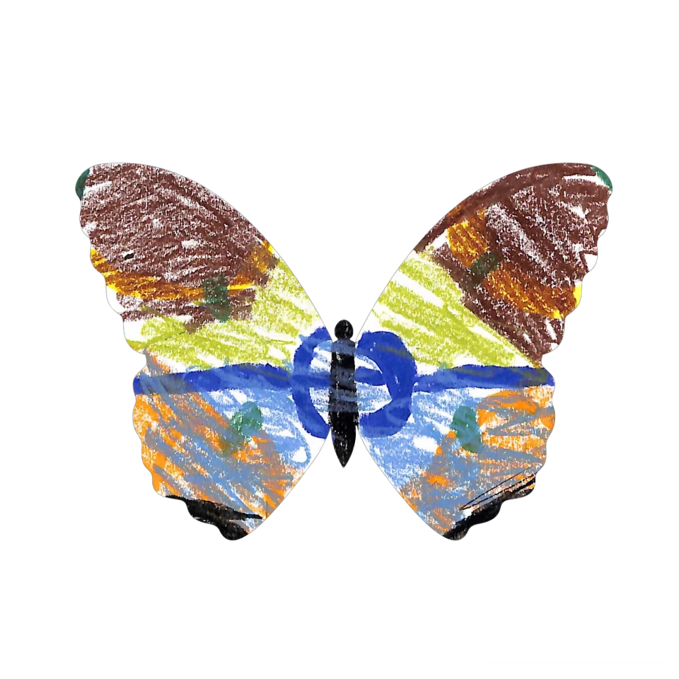 Original Butterfly Image