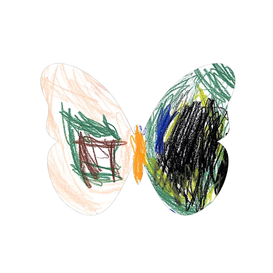 Original Butterfly Image