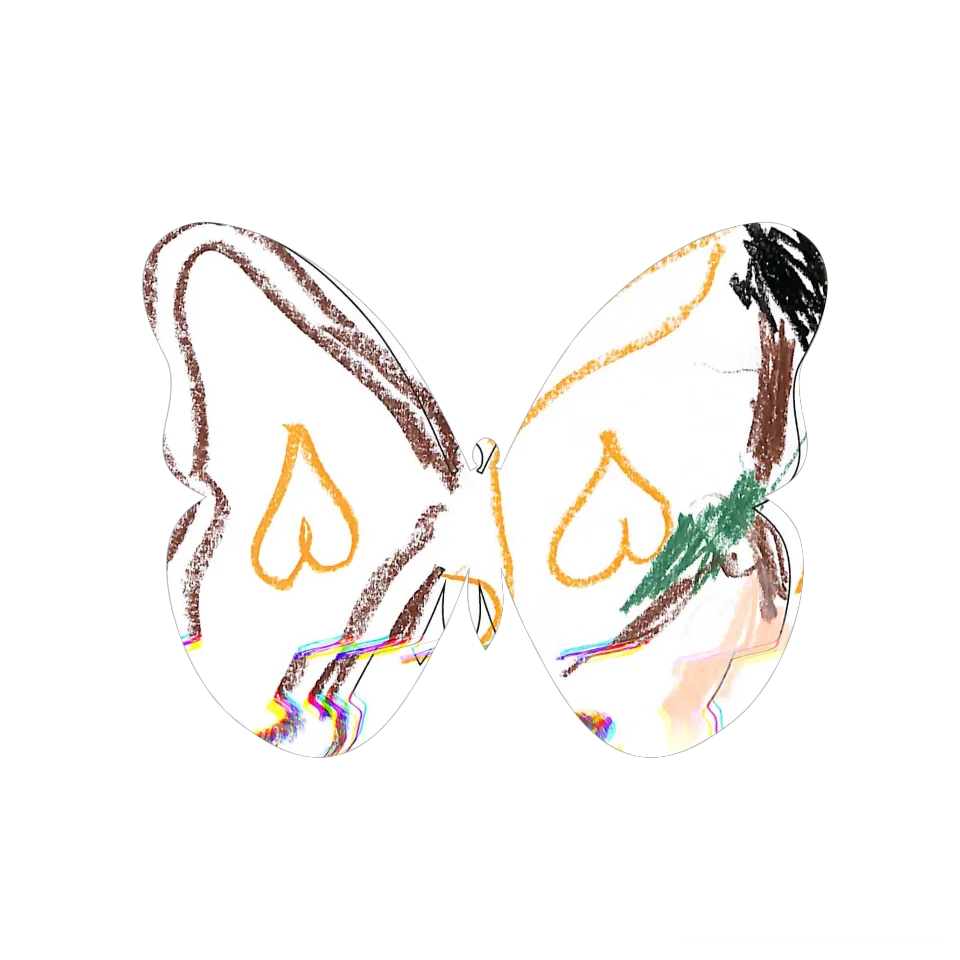 Original Butterfly Image