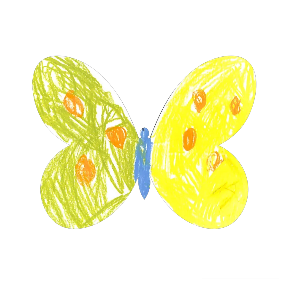 Original Butterfly Image