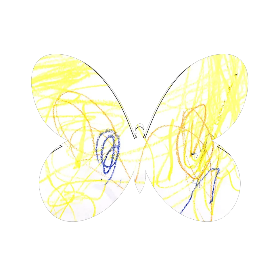 Original Butterfly Image