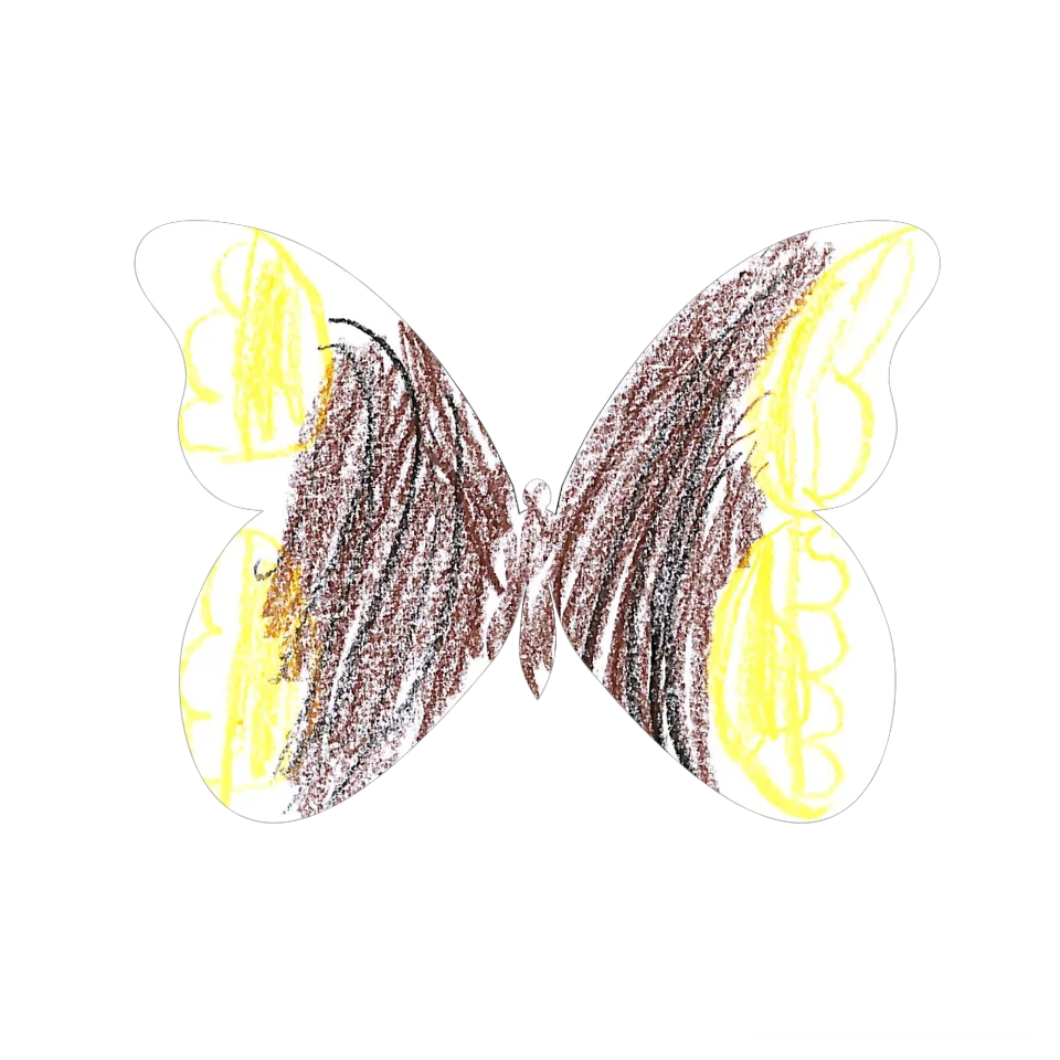 Original Butterfly Image