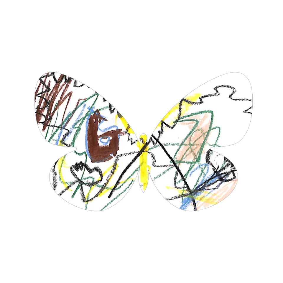 Original Butterfly Image
