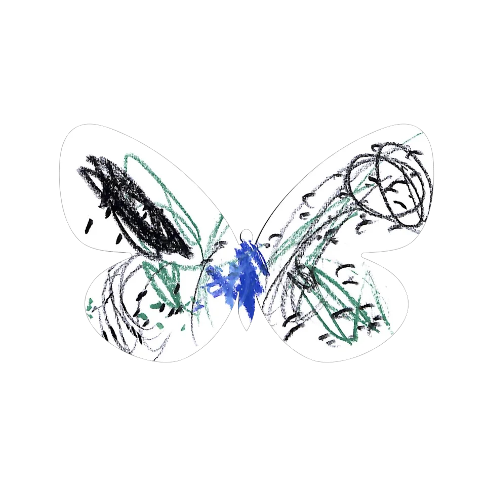 Original Butterfly Image