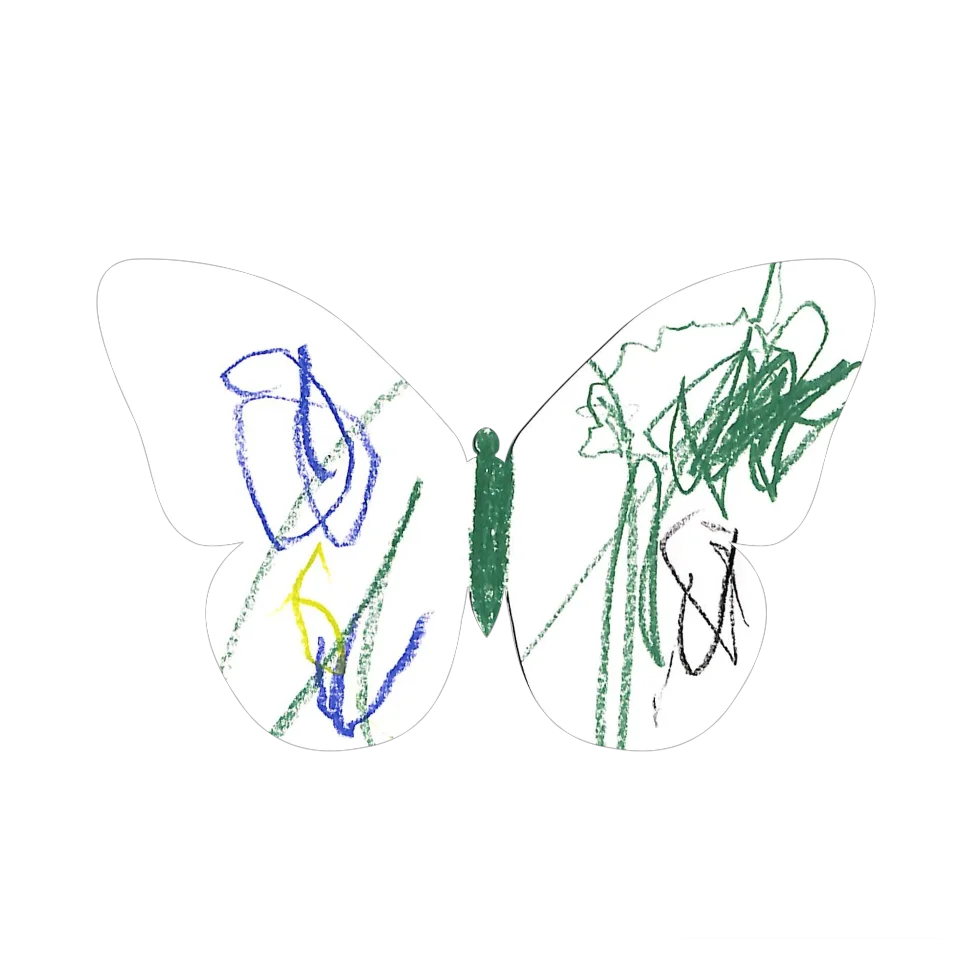 Original Butterfly Image