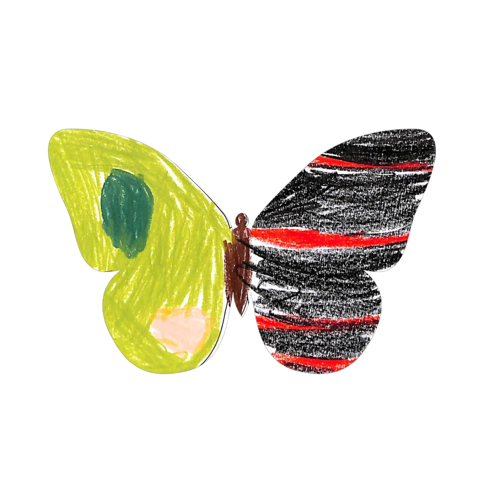 Original Butterfly Image