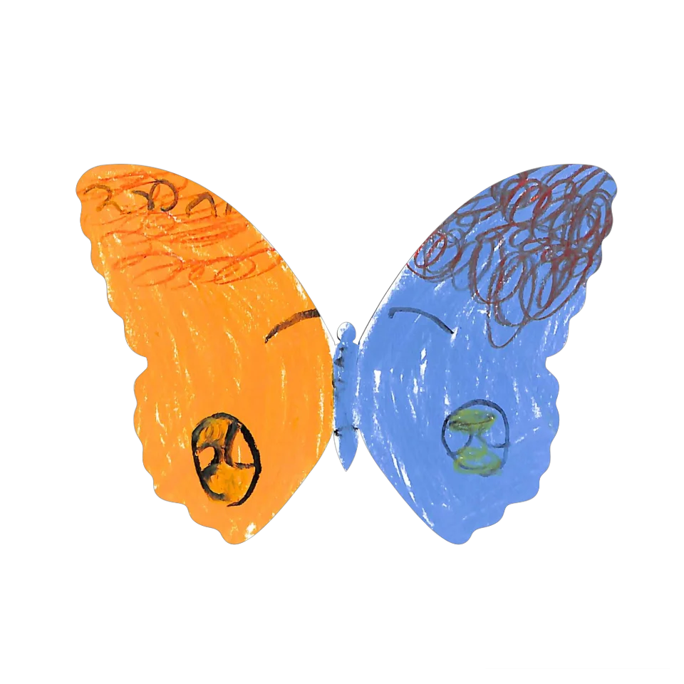 Original Butterfly Image