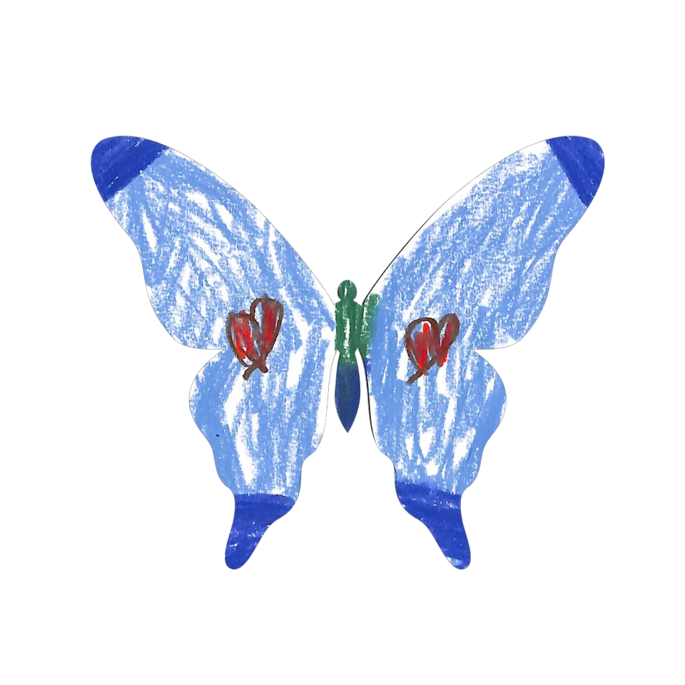 Original Butterfly Image