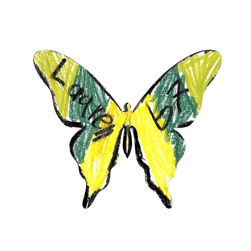 Original Butterfly Image