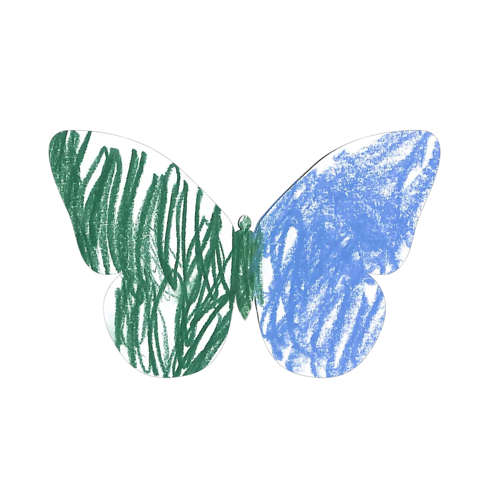 Original Butterfly Image