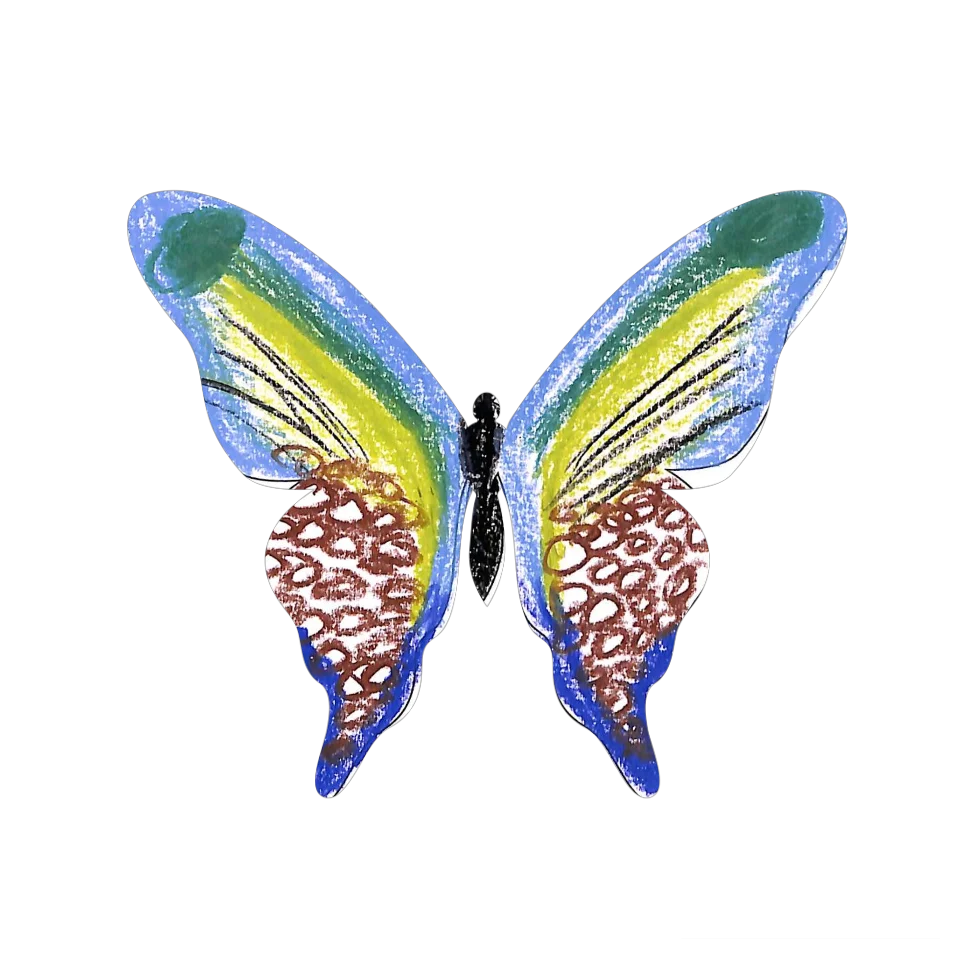 Original Butterfly Image