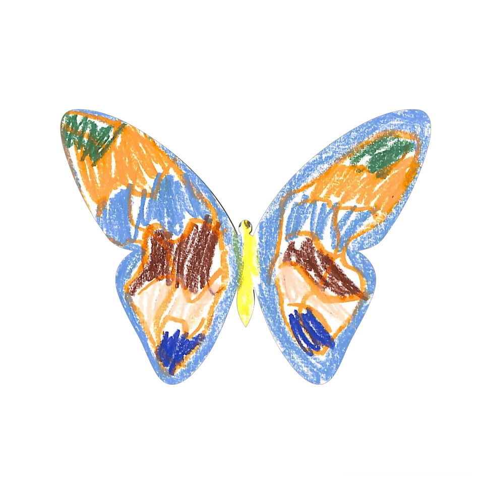 Original Butterfly Image