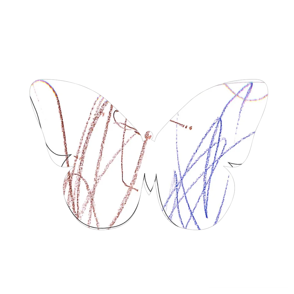 Original Butterfly Image