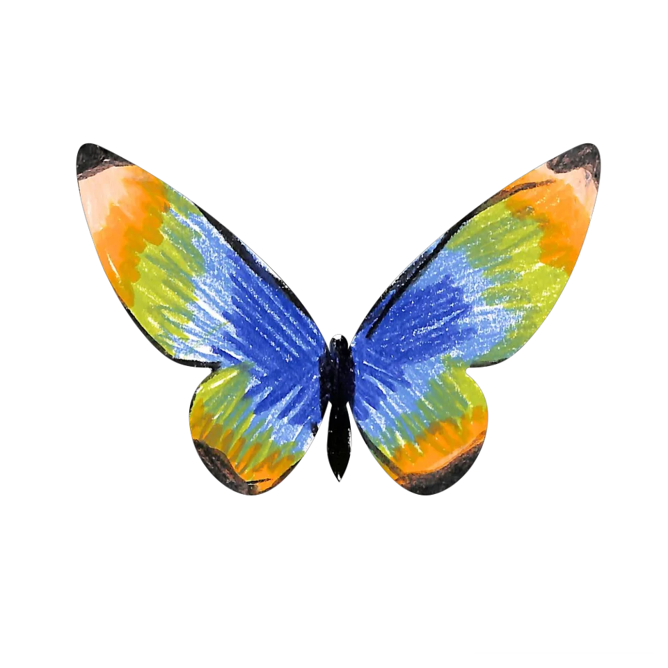 Original Butterfly Image